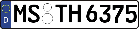 MS-TH6375