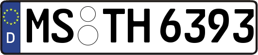 MS-TH6393