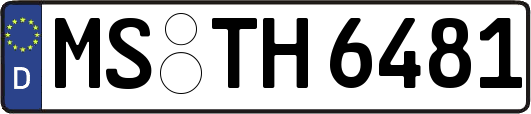 MS-TH6481