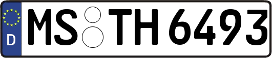 MS-TH6493
