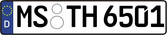 MS-TH6501