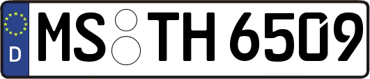 MS-TH6509