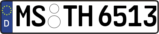 MS-TH6513