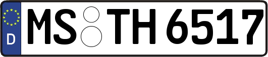 MS-TH6517