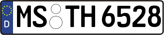 MS-TH6528