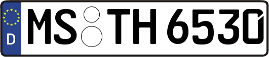 MS-TH6530