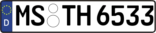 MS-TH6533