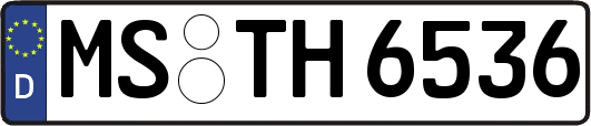 MS-TH6536