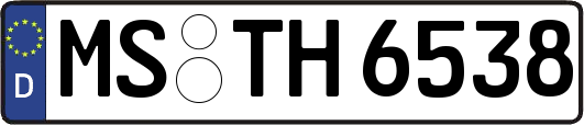 MS-TH6538