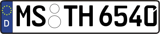 MS-TH6540