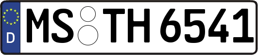 MS-TH6541