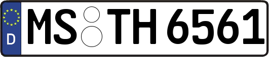 MS-TH6561