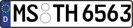MS-TH6563