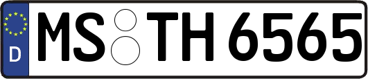 MS-TH6565