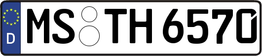 MS-TH6570