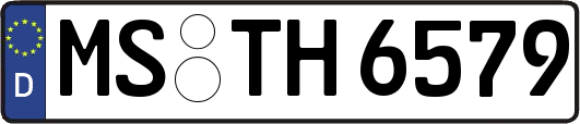 MS-TH6579