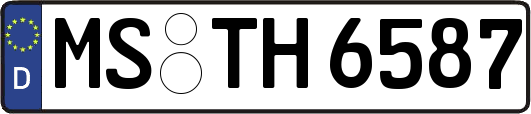 MS-TH6587