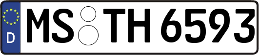 MS-TH6593