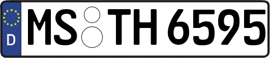 MS-TH6595