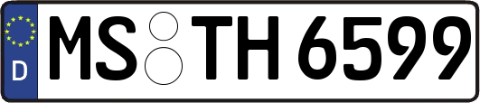 MS-TH6599