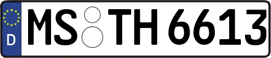 MS-TH6613
