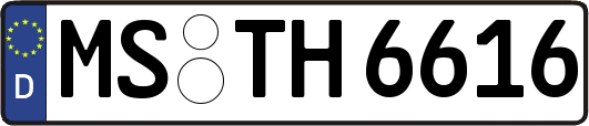 MS-TH6616