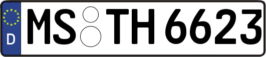 MS-TH6623