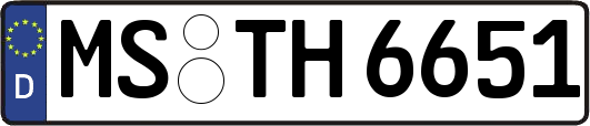MS-TH6651