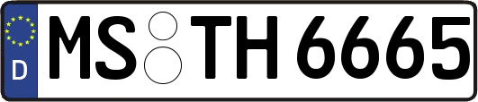MS-TH6665