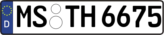 MS-TH6675