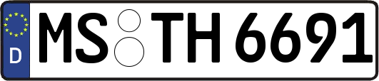 MS-TH6691