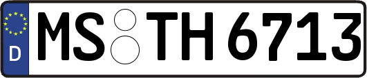 MS-TH6713