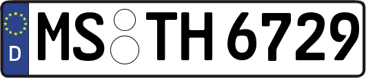 MS-TH6729