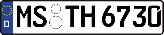 MS-TH6730