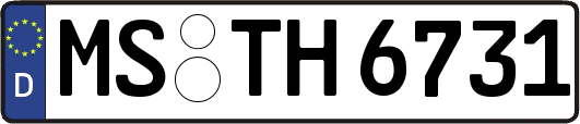 MS-TH6731