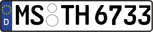MS-TH6733