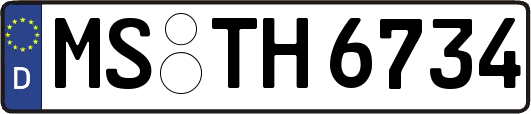 MS-TH6734