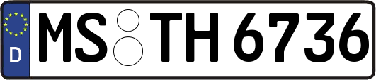 MS-TH6736