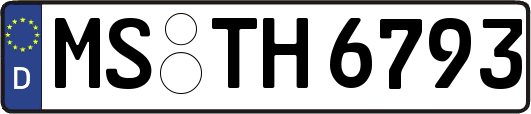 MS-TH6793
