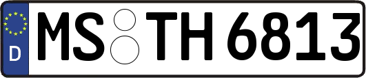 MS-TH6813
