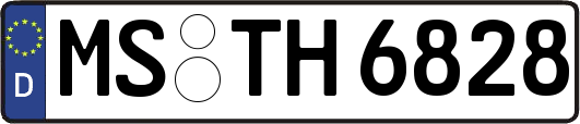 MS-TH6828