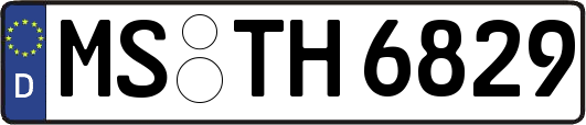 MS-TH6829