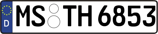 MS-TH6853
