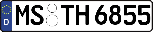 MS-TH6855