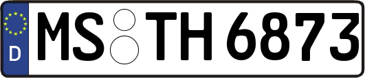 MS-TH6873
