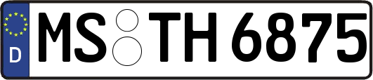 MS-TH6875