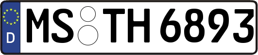 MS-TH6893