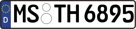 MS-TH6895