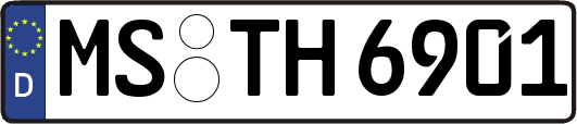 MS-TH6901