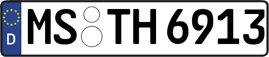 MS-TH6913